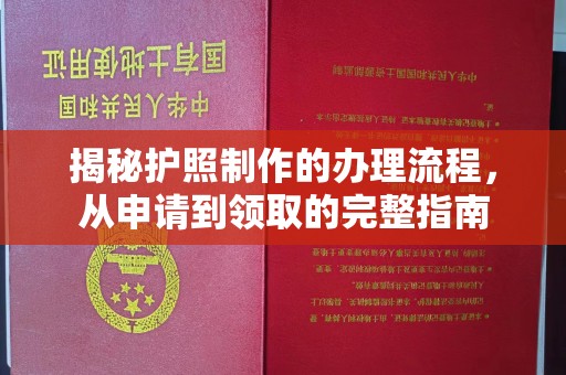 衡阳揭秘护照制作的办理流程，从申请到领取的完整指南