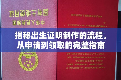 寿丰揭秘出生证明制作的流程，从申请到领取的完整指南