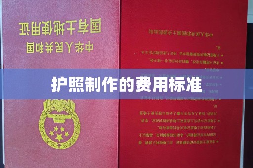铁锋护照制作的费用标准