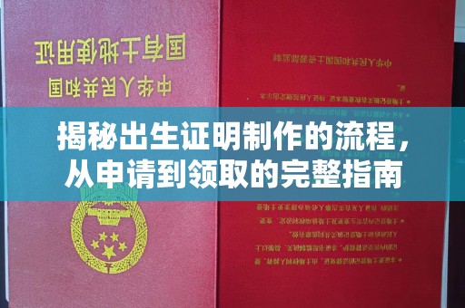当雄揭秘出生证明制作的流程，从申请到领取的完整指南